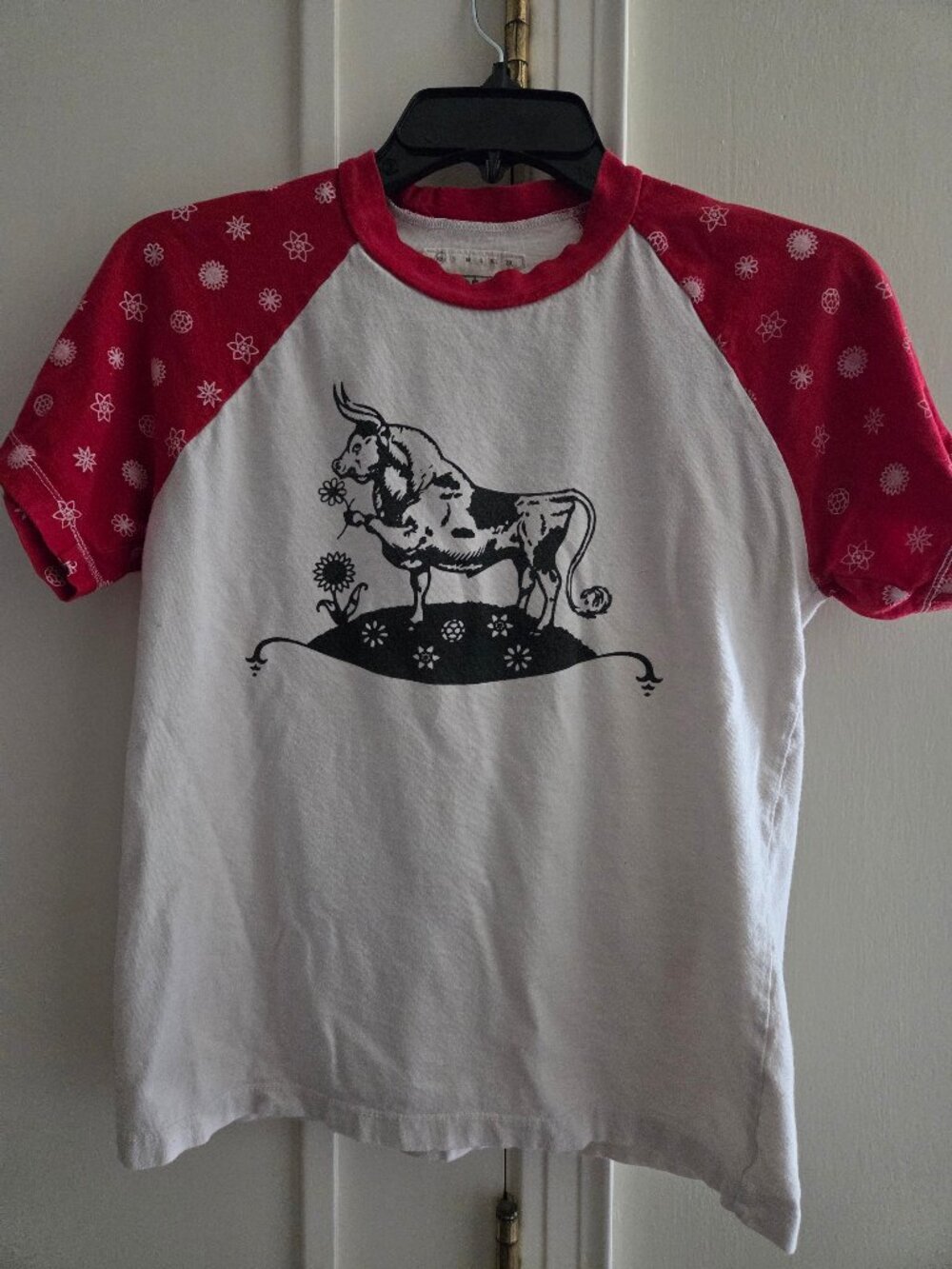 Object Apparel Ferdinand the Bull Raglan T Shirt Size XS